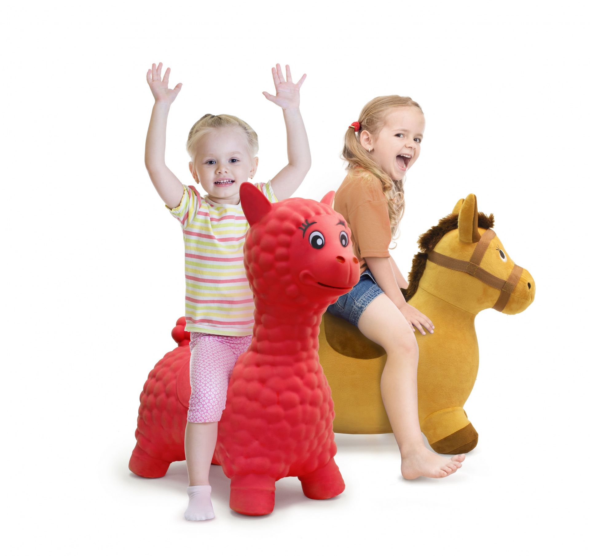 Мяч прыгун Лошадь KINERAPY Horse RK701 в чехле купить в OrtoMir24