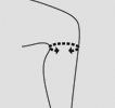 sizerkn203.jpg sizerkn203.jpg
